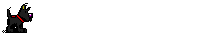 dog2